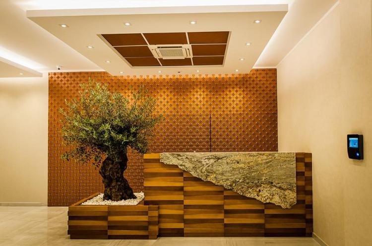 intérieur Hôtel President, Baile Felix, Roumanie