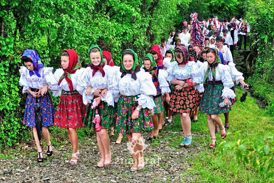 Une partie de la célébration du mariage dans Sat Sugatag dans la région de Maramures.