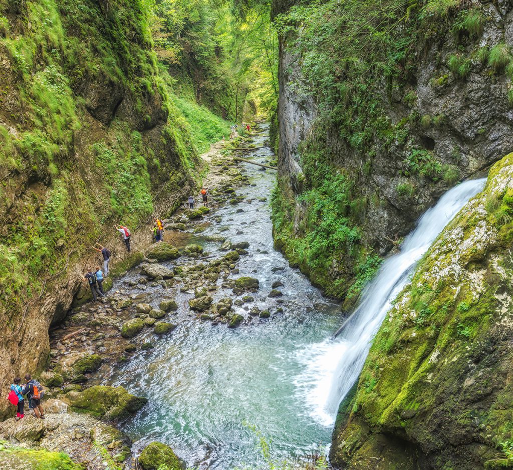 Cascada-de-pe-Cheile-Galbenei - Trajet Pietroasa, Bihor, Apuseni, Roumanie,