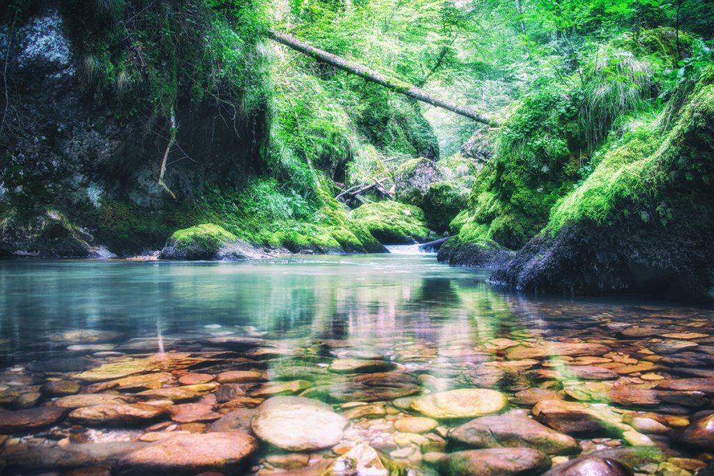 Cheile-Galbenei-Parcul-Natural-Apuseni-Bihor, Roumanie