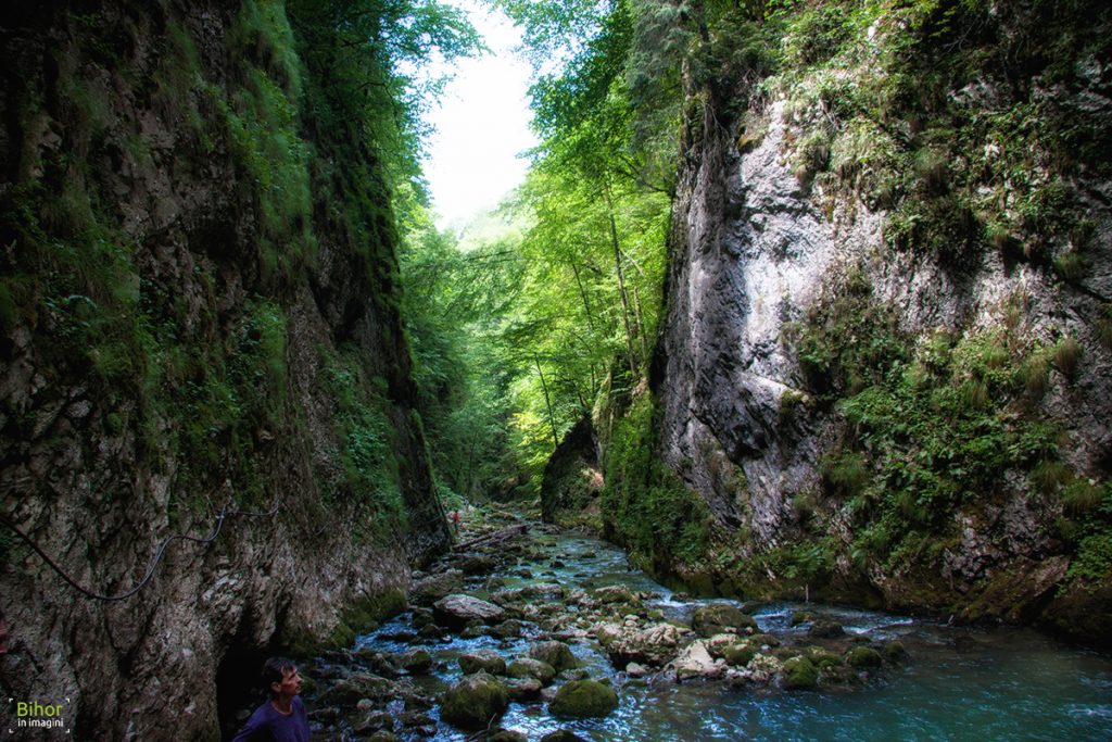 Cheile-Galbenei-Trajet Pietroasa, Bihor, Roumanie 1