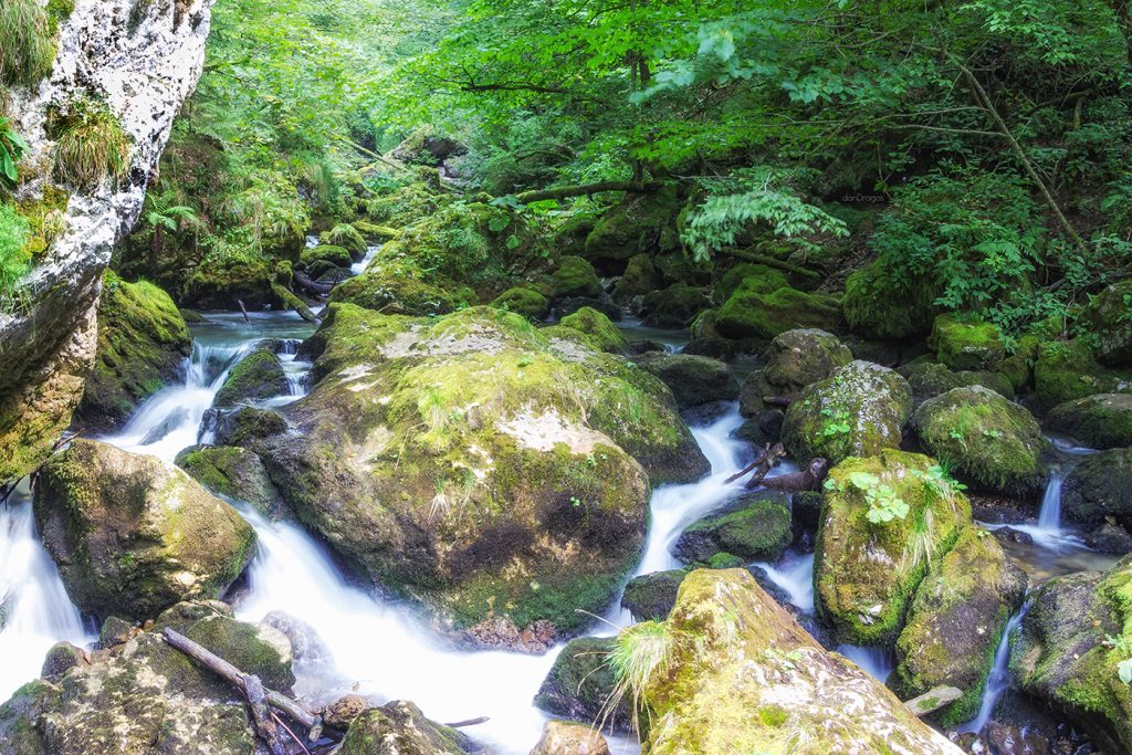Cheile-Galbenei-Trajet Pietroasa, Bihor, Roumanie 2