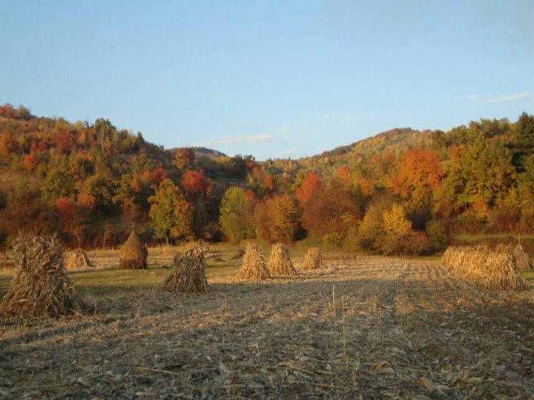 Photos de Annie Moriou Téron 2