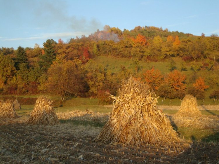 Photos de Annie Moriou Téron