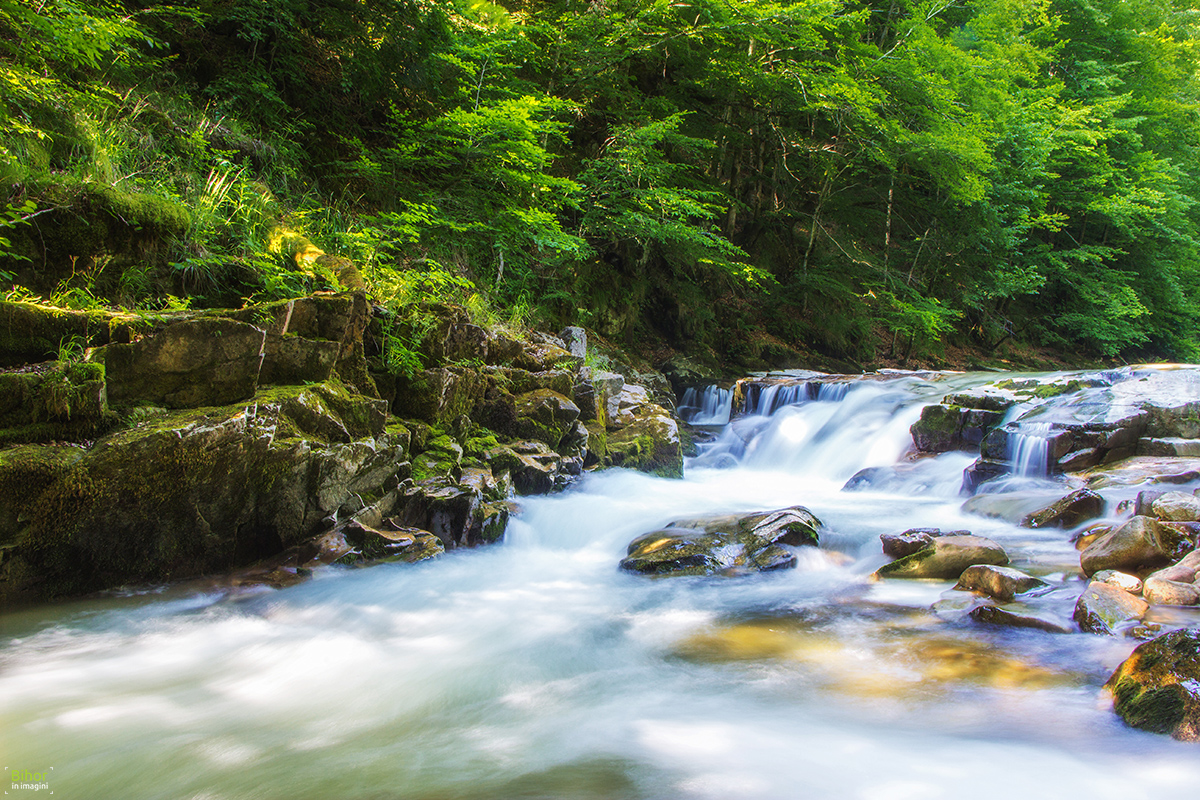 Valea-Boga01 - Padis, Bihor, Roumanie