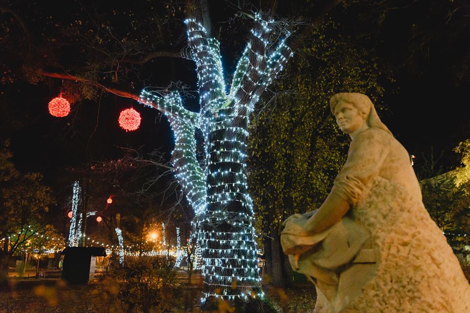 lumini 5 Gheorghe Falca