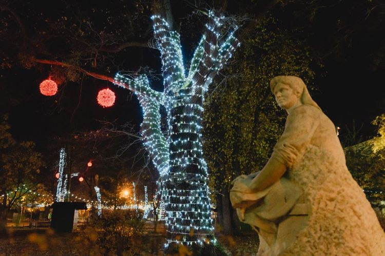 lumini 5 Gheorghe Falca