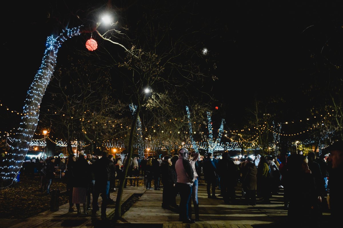 TARG DE CRACIUN - POZA WWW.ARQ.RO