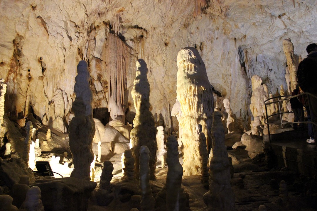 la Caverne des Ours 12