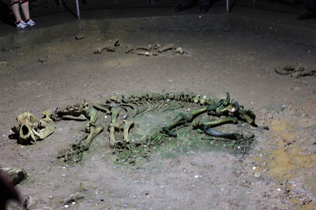 la Caverne des Ours 13