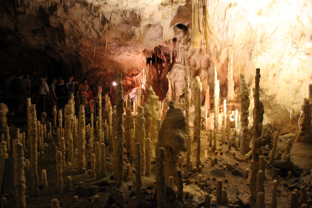 la Caverne des Ours 15