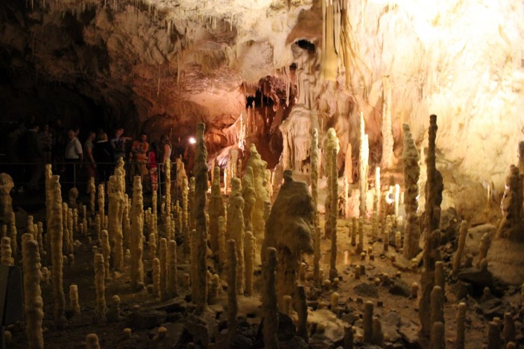 la Caverne des Ours 15