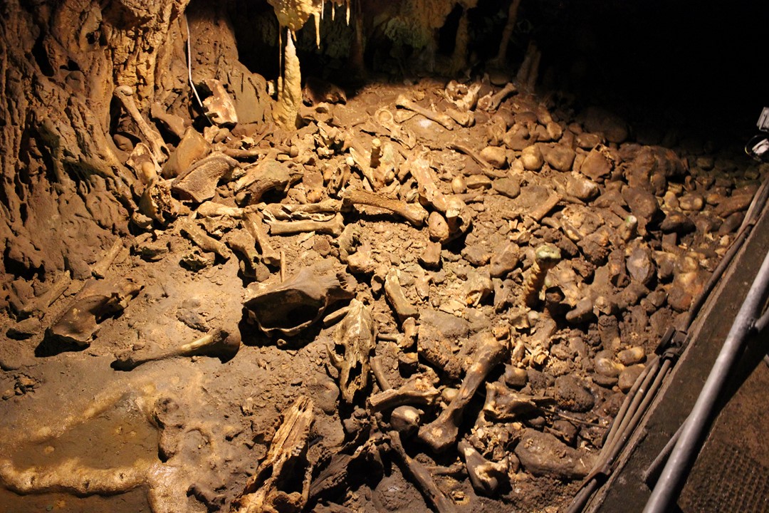 la Caverne des Ours 2