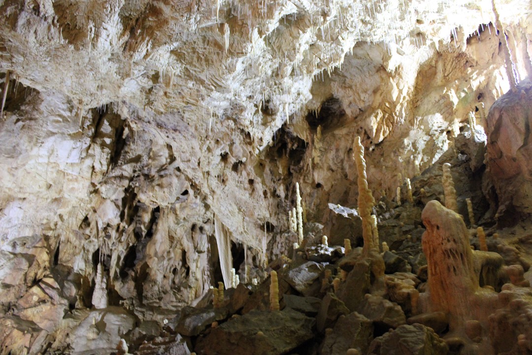 la Caverne des Ours 8