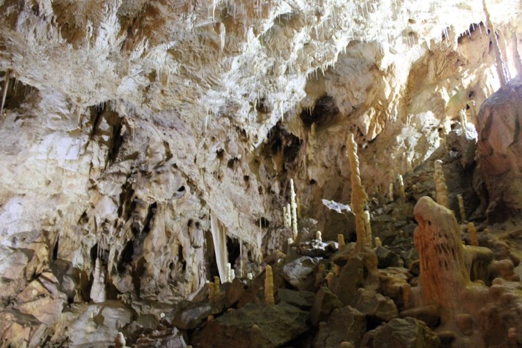 la Caverne des Ours 8