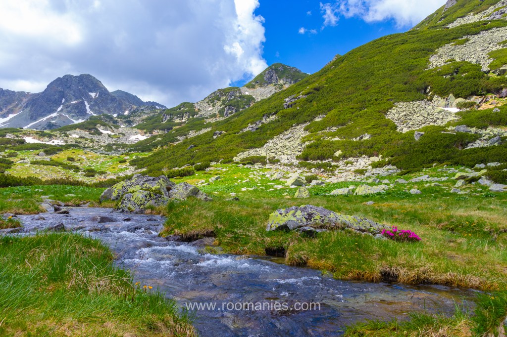 petit torrent à proximité du lac Pietrele, Retezat, Roumanie