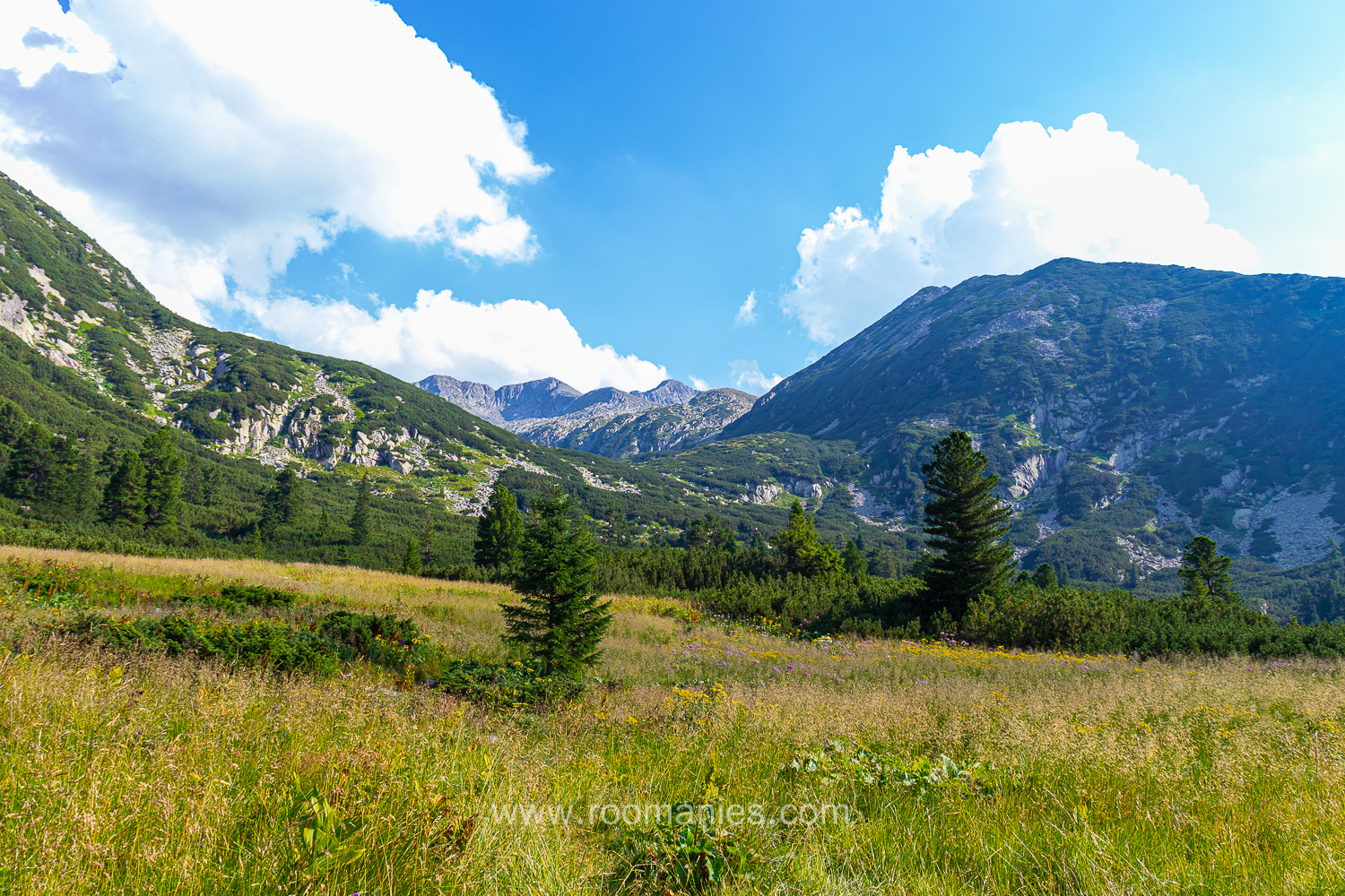 Paysage dans le parc National de Retezat, avec en arrière-plan des crêtes et de la végétation.