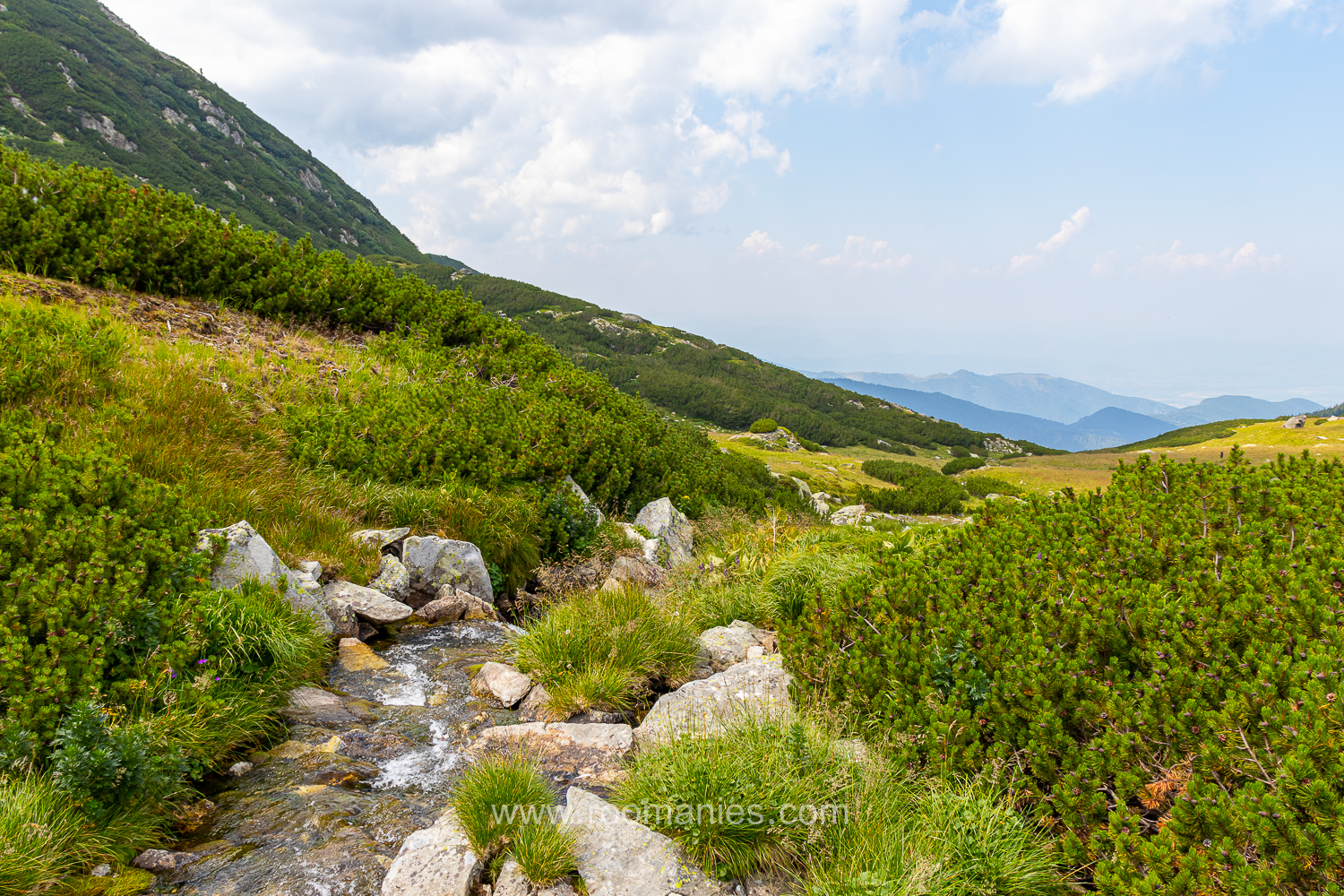 Un torrent entouré de végétation avec en arrière-plan une vallée du parc national Retezat. 