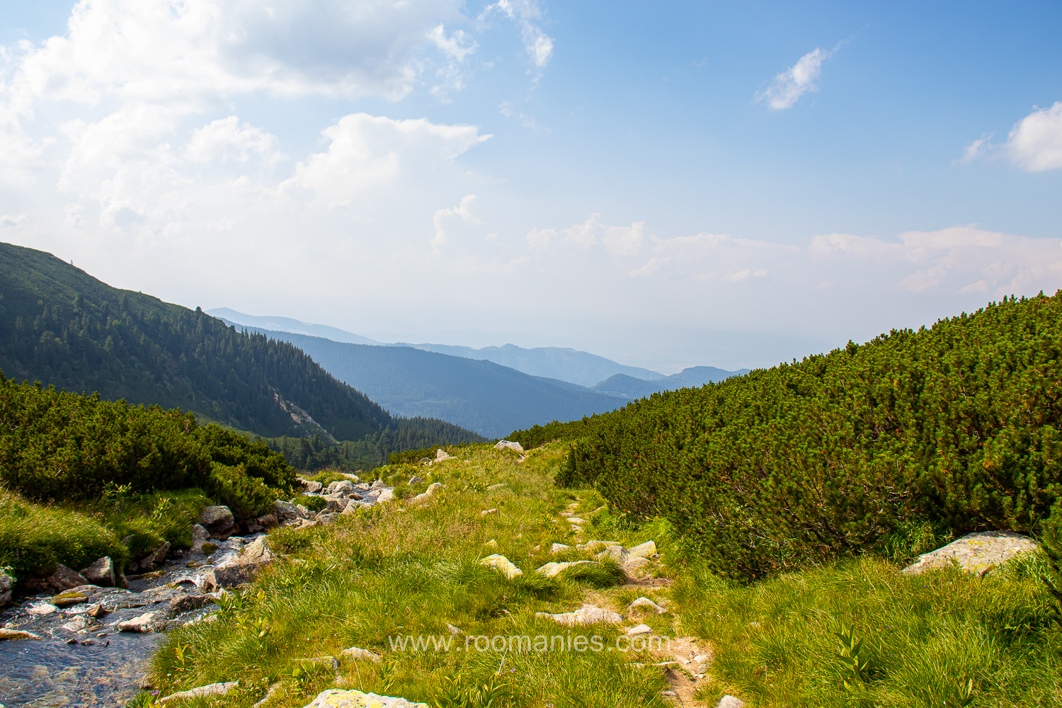 Petit torrent du Parc National de Retezat avec en arrière-plan une vallée du Retezat. 