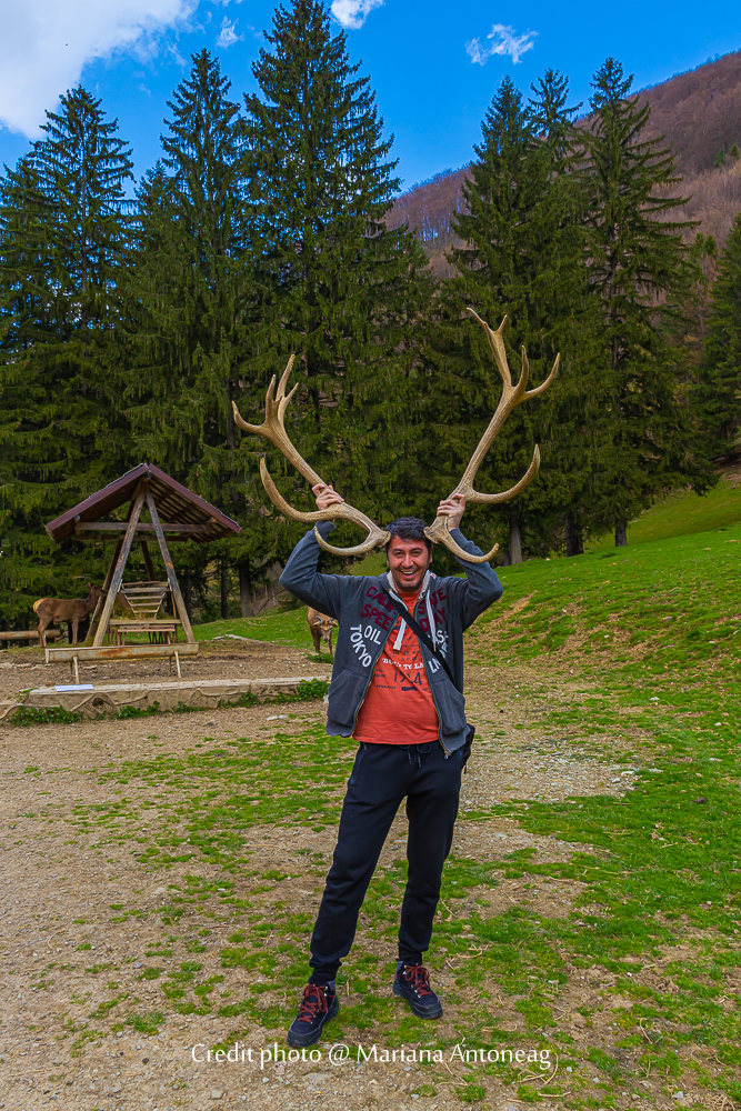 Manipulant des cornes de cerf impressionnantes lors d'une visite pédagogique dans un domaine forestier en Transylvanie.