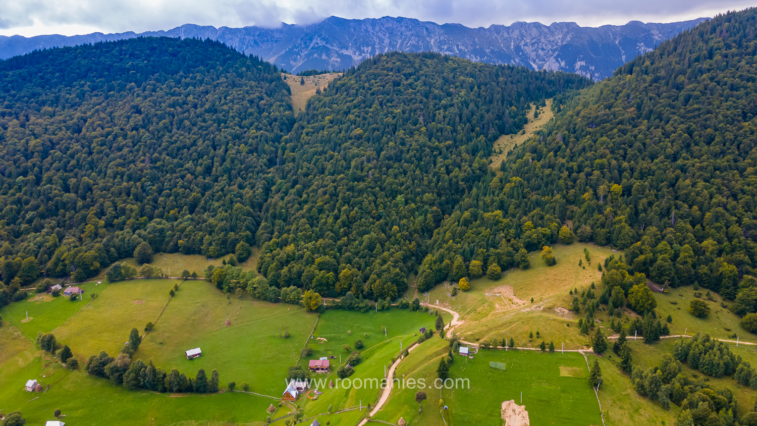 Vue sur les collines et les crêtes de Piatra Craiului