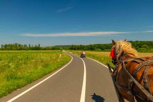 village rural Roumanie - Margina Timis