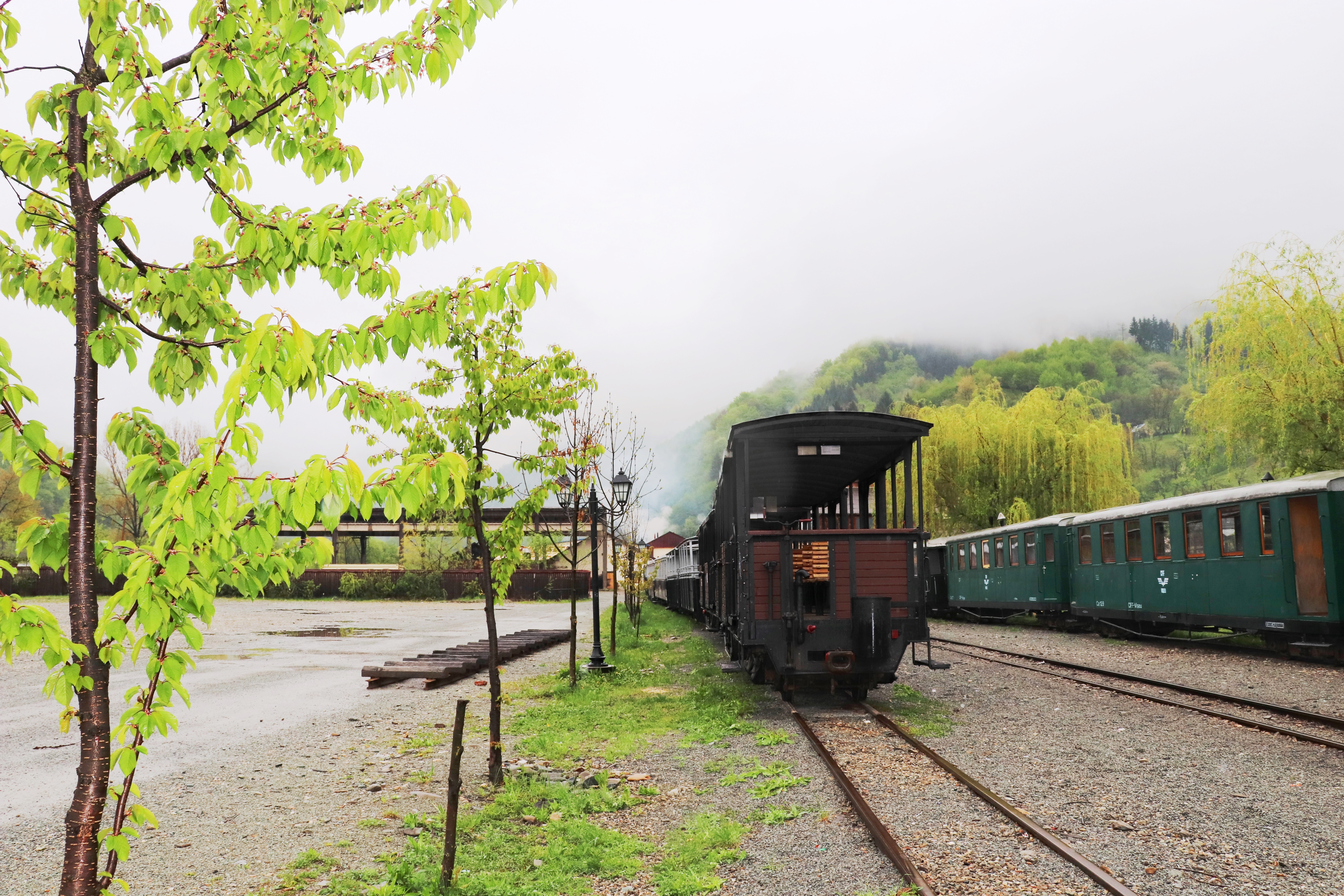 wagon train à vapeur Viseul de Sus, Roumanie