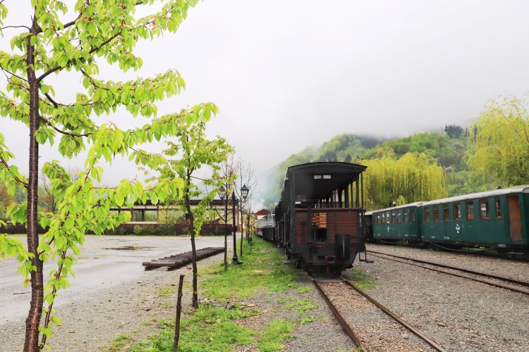 wagon train à vapeur Viseul de Sus, Roumanie