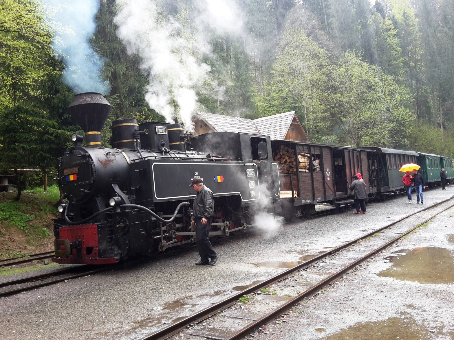 train à vapeur Roumanie