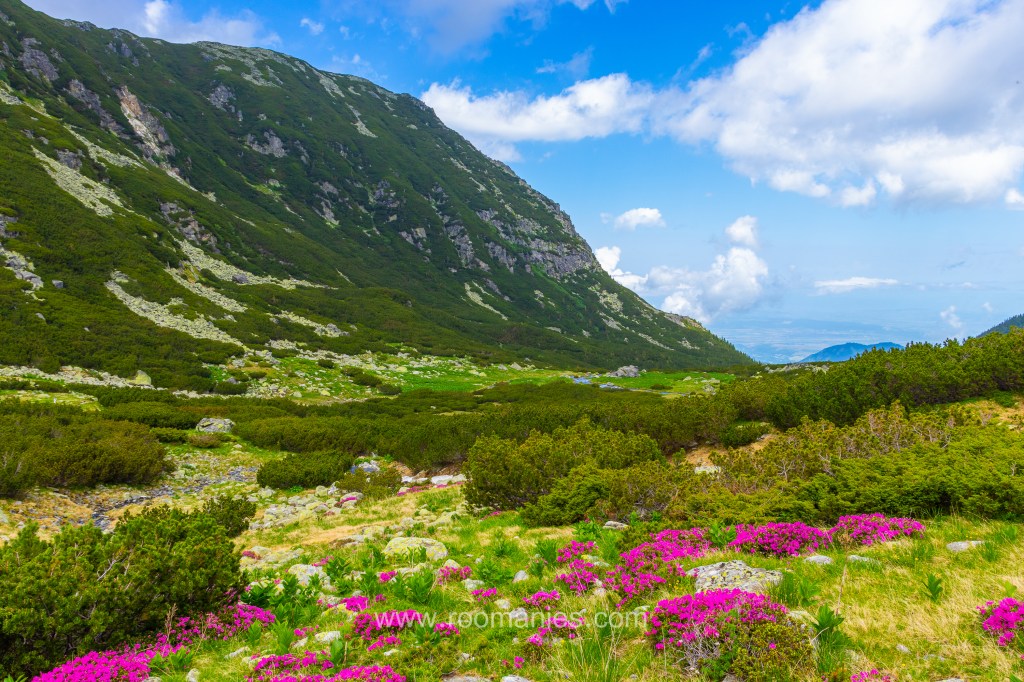 parc national de Retezat 