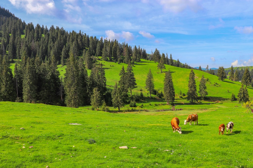 10 suggestions de voyage après le&nbsp;déconfinement