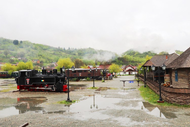 Train à vapeur, la cour de Viseul de Sus