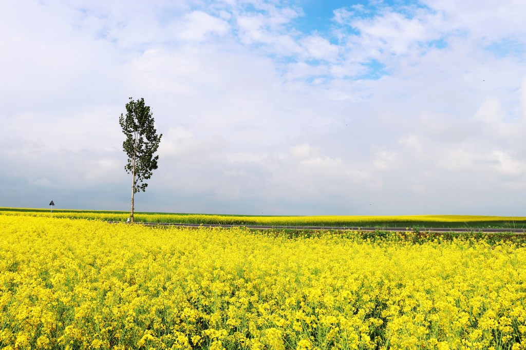 Le printemps, la saison idéale pour découvrir la&nbsp;Roumanie
