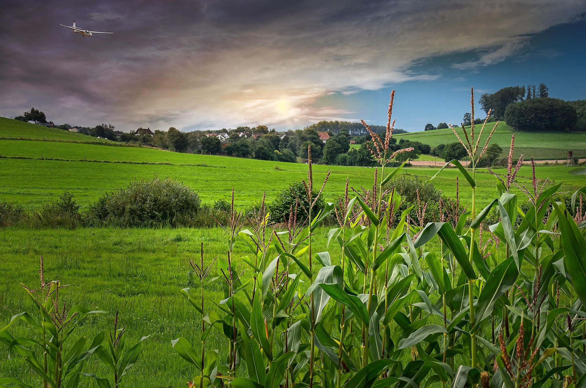 campagne