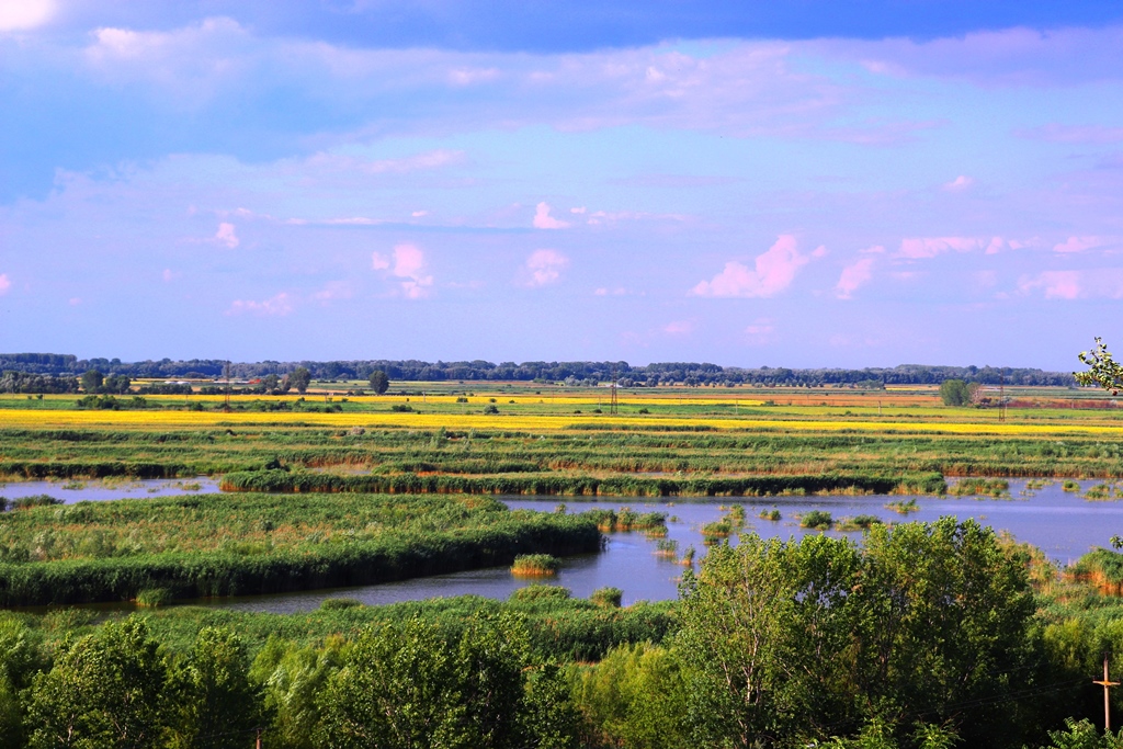 paysage Delta du Danube