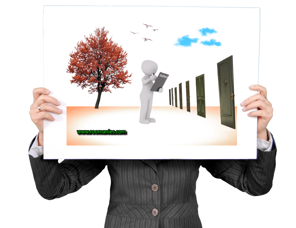 L&rsquo;image des roumains :&nbsp;témoignages