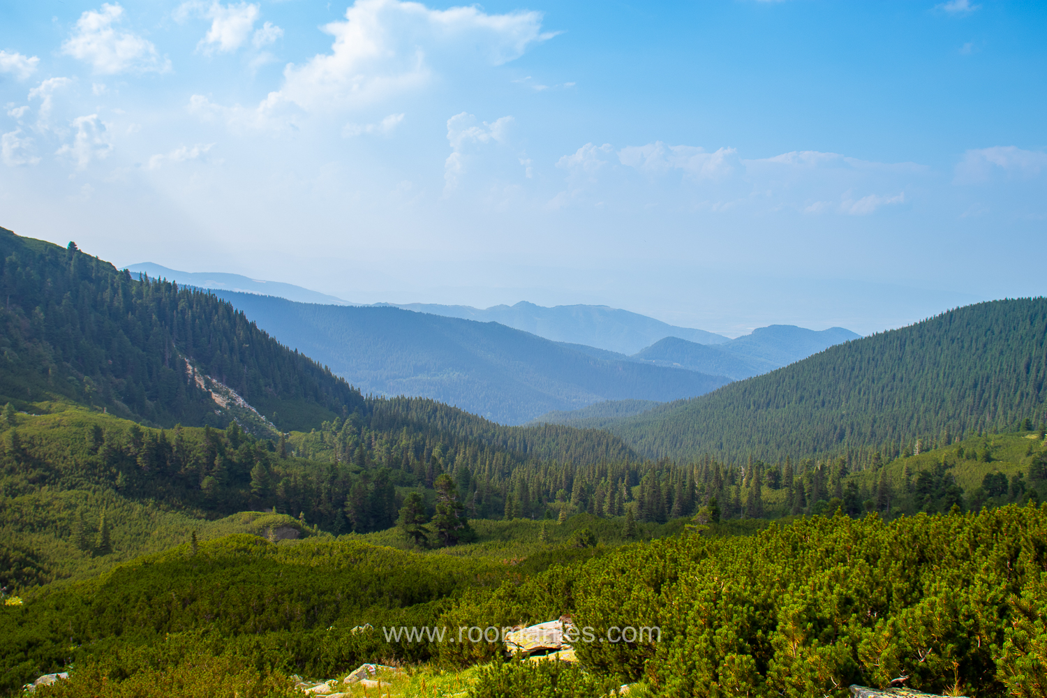 Vallée, parc national de Retezat, Roumanie