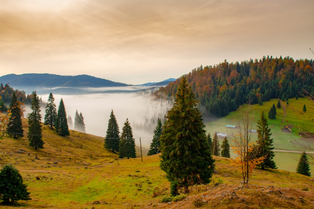 Nos plus belles images d&rsquo;automne de Roumanie 