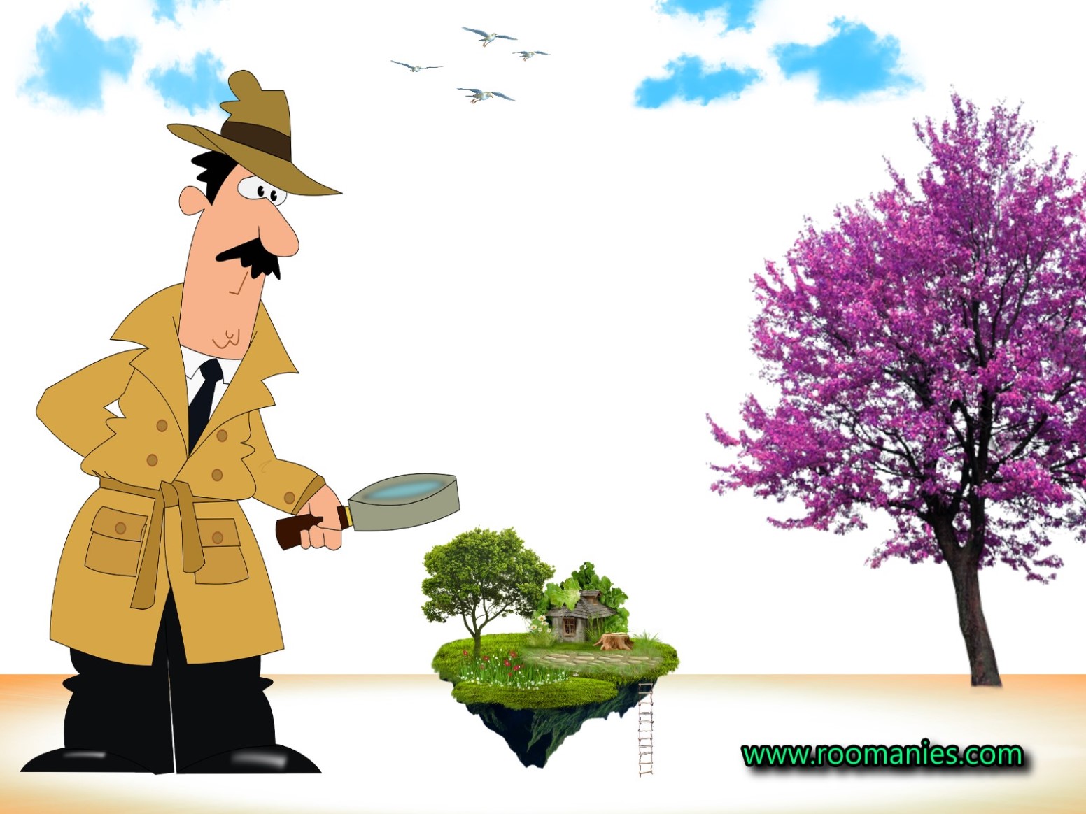 analyse de terrain Roumanie