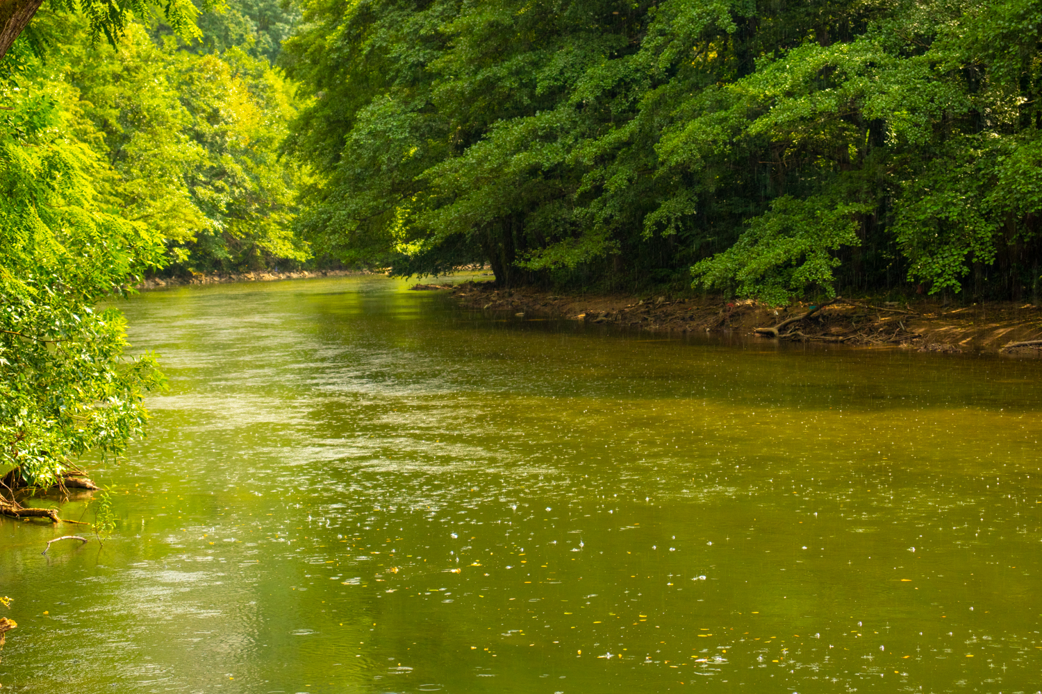 Vadul Crisului Roumanie 