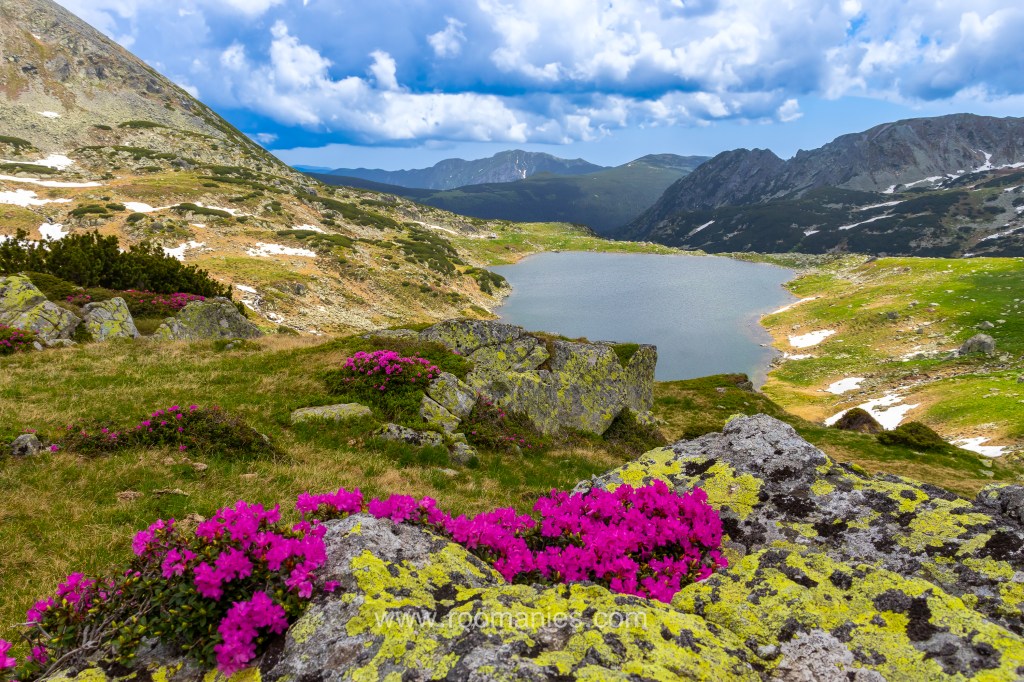 évasions sur mesure en Roumanie - Retezat - Roomanies